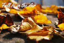 Fall-Air